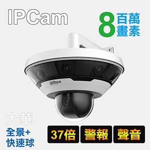 多鏡頭全景網路攝影機+PTZ攝影機