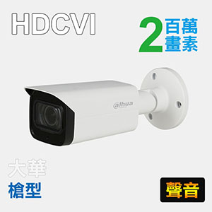 2MP四合一星光級紅外線攝影機