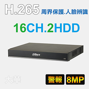 16路監視錄影網路主機