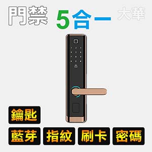 五合一藍芽智慧門鎖