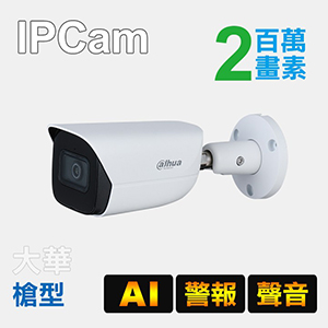 2MP  AI紅外線網路攝影機
