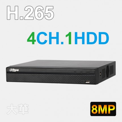 4路監視錄影網路主機